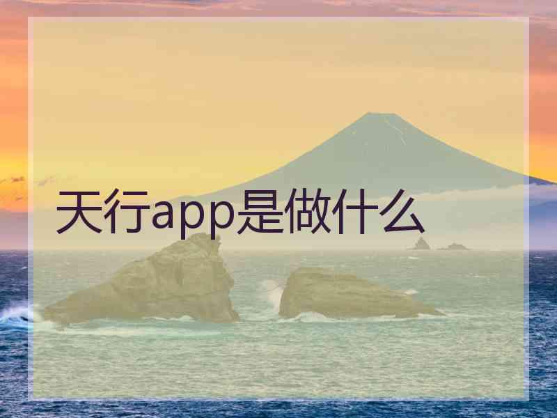 天行app是做什么