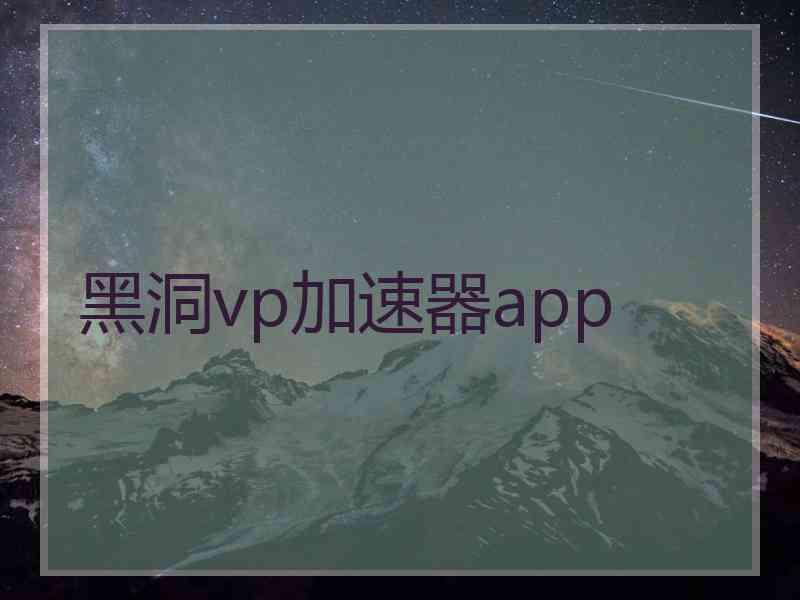 黑洞vp加速器app