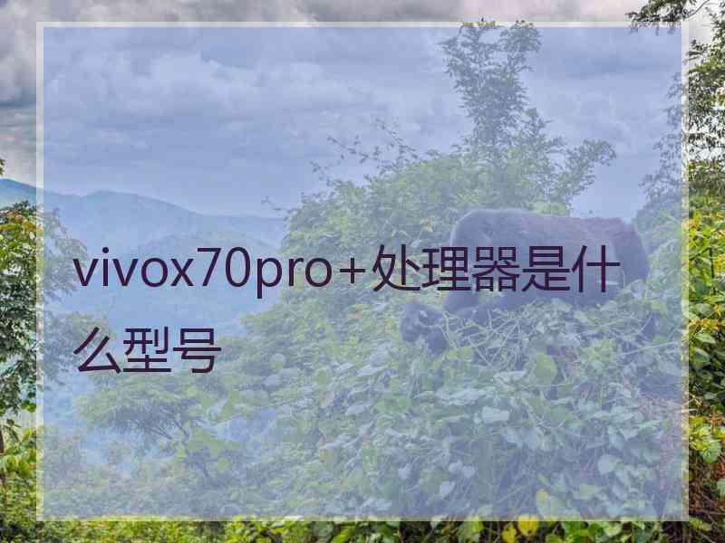 vivox70pro+处理器是什么型号