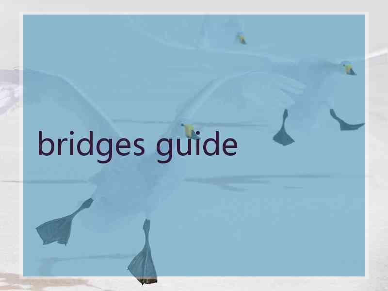 bridges guide