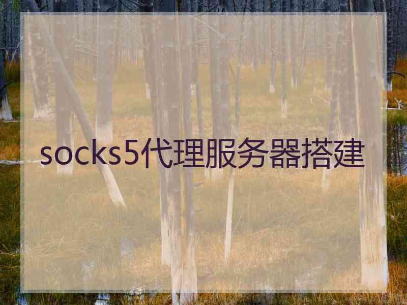 socks5代理服务器搭建