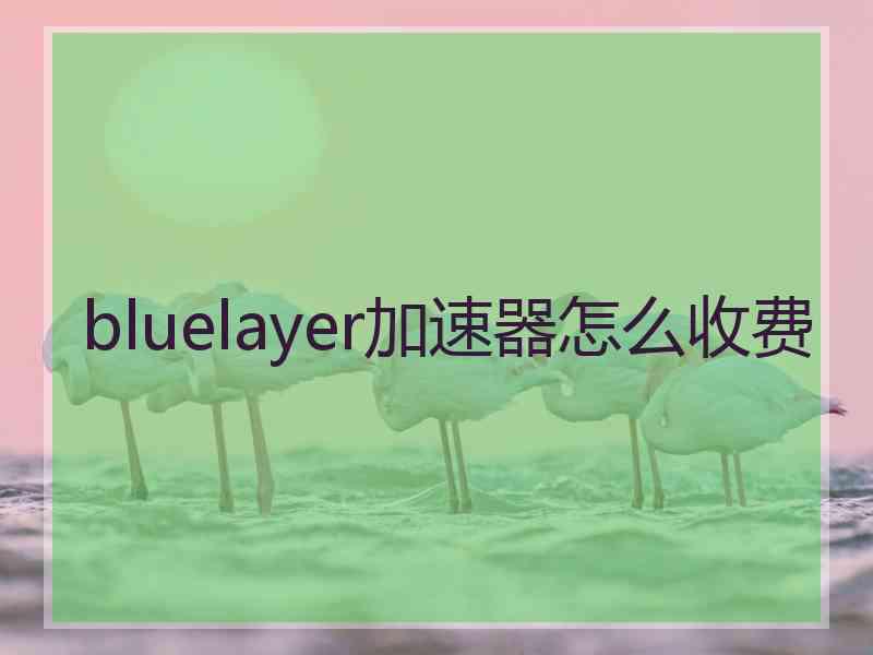 bluelayer加速器怎么收费