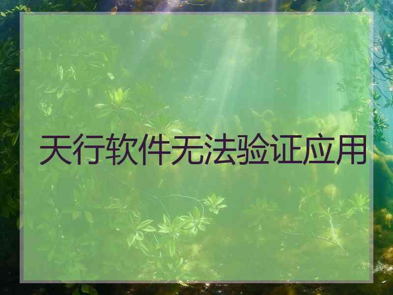 天行软件无法验证应用