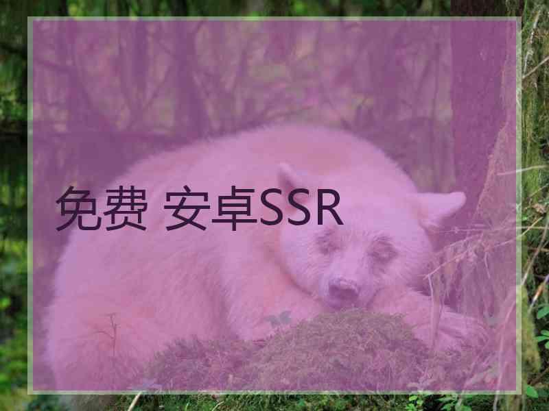 免费 安卓SSR