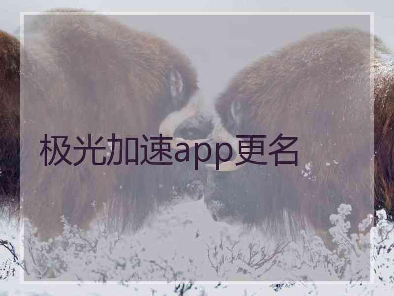 极光加速app更名