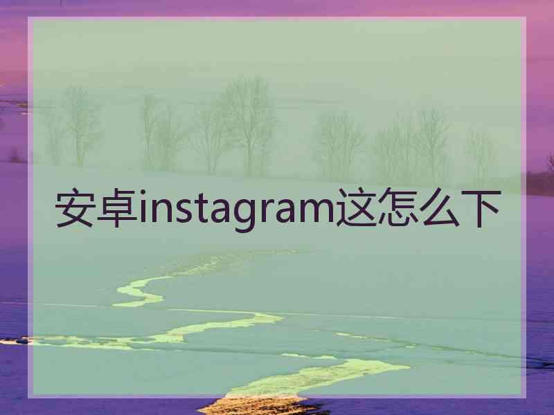 安卓instagram这怎么下