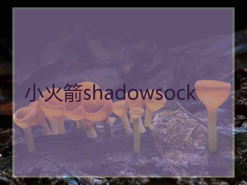 小火箭shadowsock