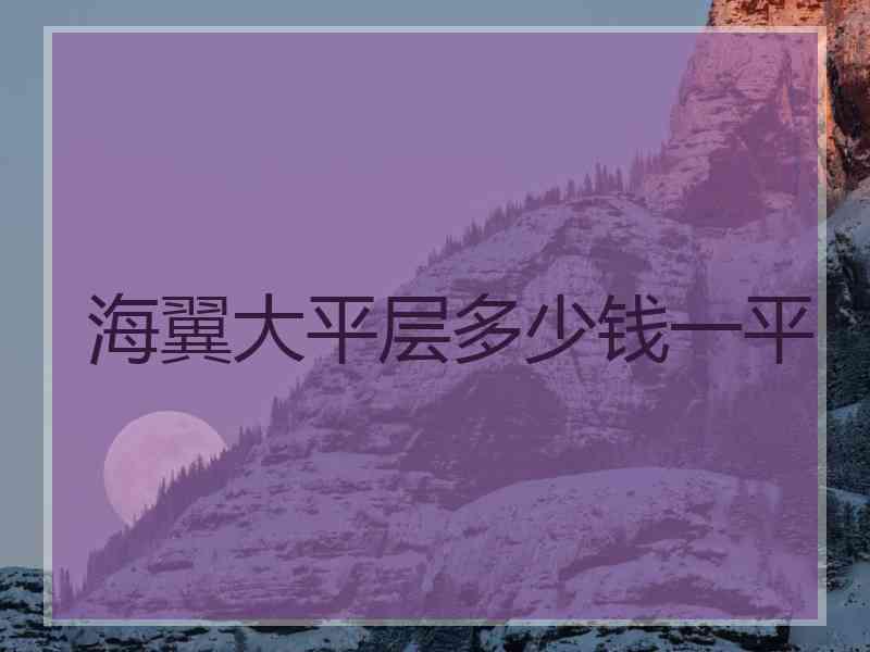 海翼大平层多少钱一平