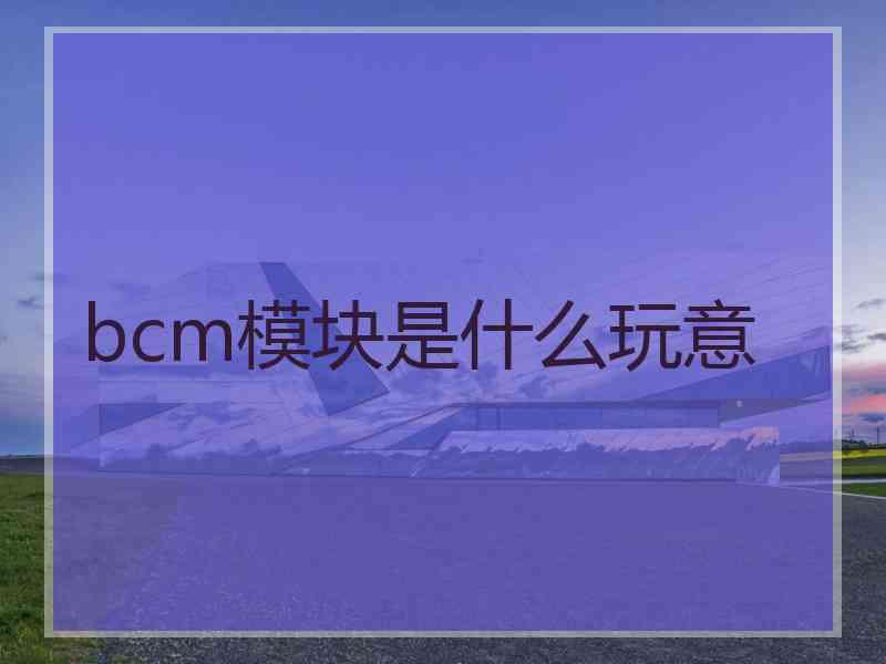 bcm模块是什么玩意