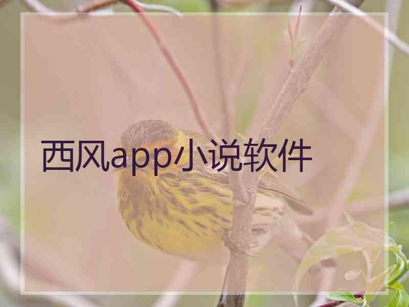 西风app小说软件