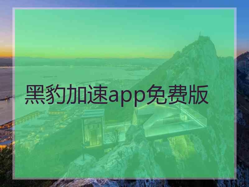 黑豹加速app免费版