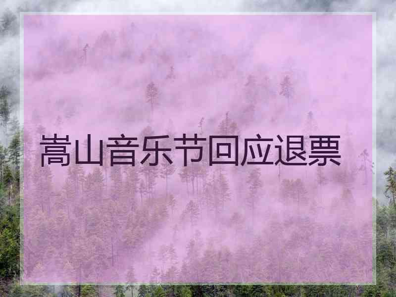 嵩山音乐节回应退票