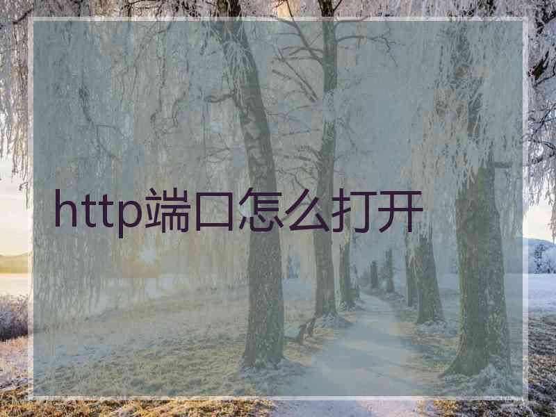 http端口怎么打开