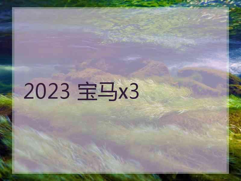 2023 宝马x3