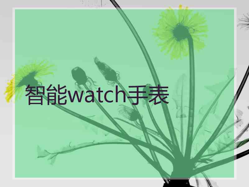 智能watch手表