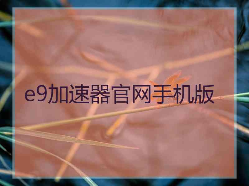 e9加速器官网手机版