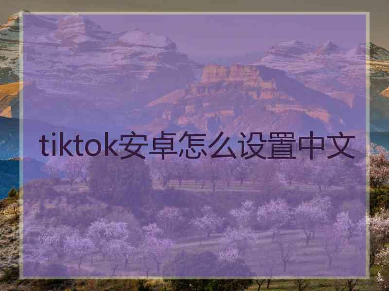 tiktok安卓怎么设置中文