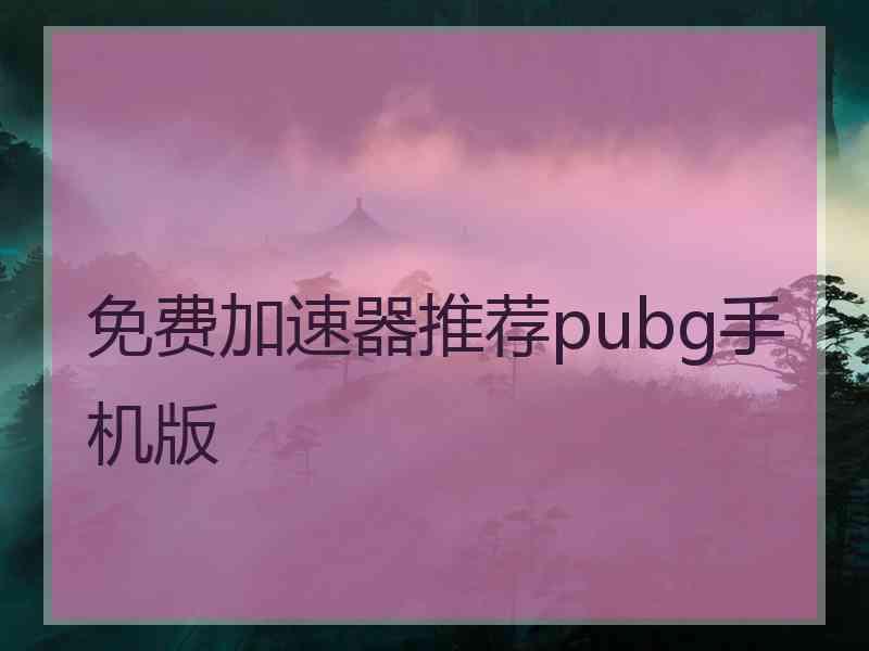 免费加速器推荐pubg手机版