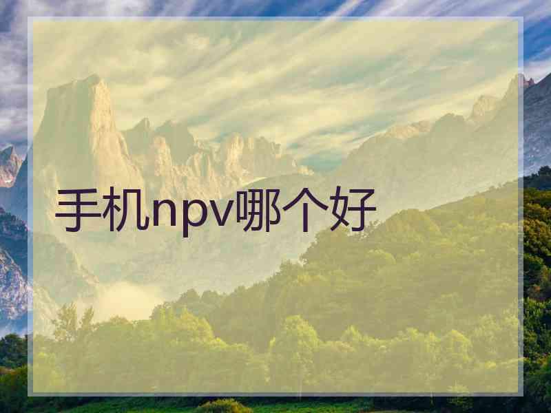 手机npv哪个好