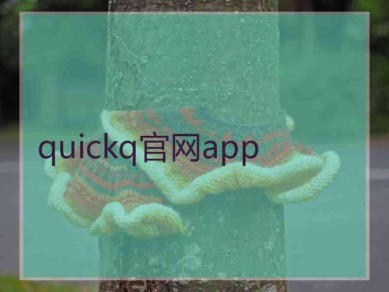 quickq官网app