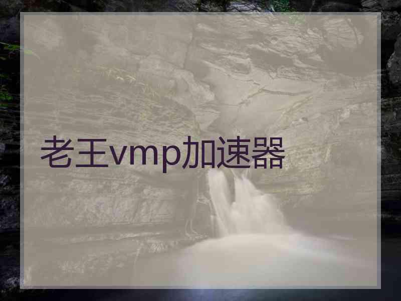 老王vmp加速器