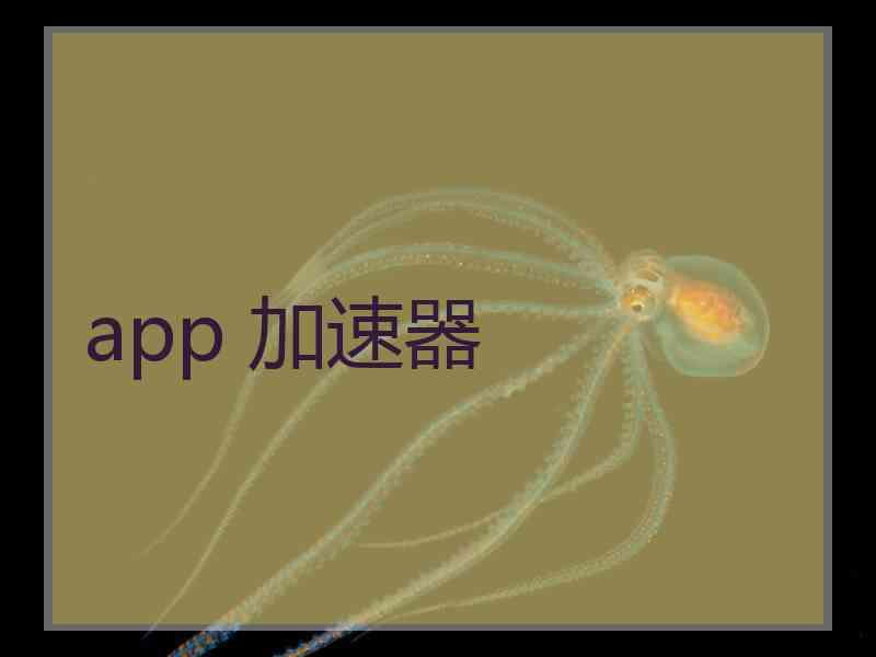 app 加速器