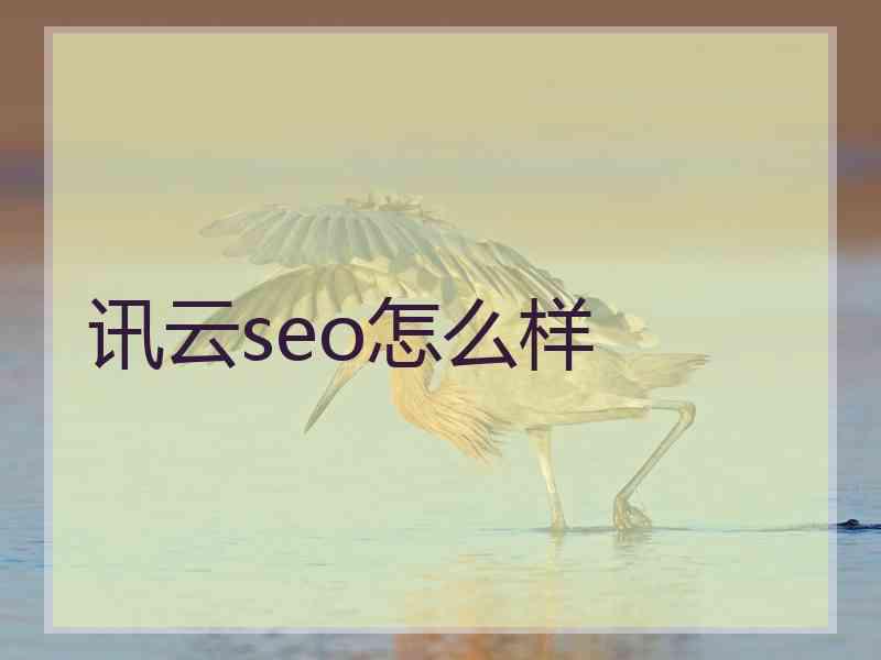 讯云seo怎么样