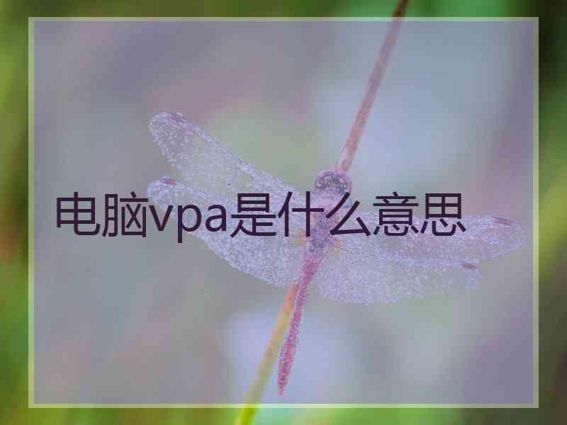 电脑vpa是什么意思