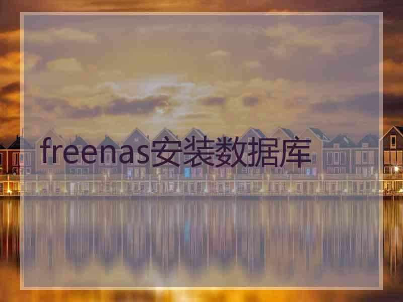 freenas安装数据库