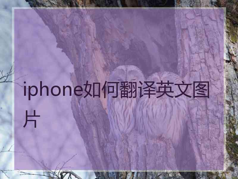 iphone如何翻译英文图片