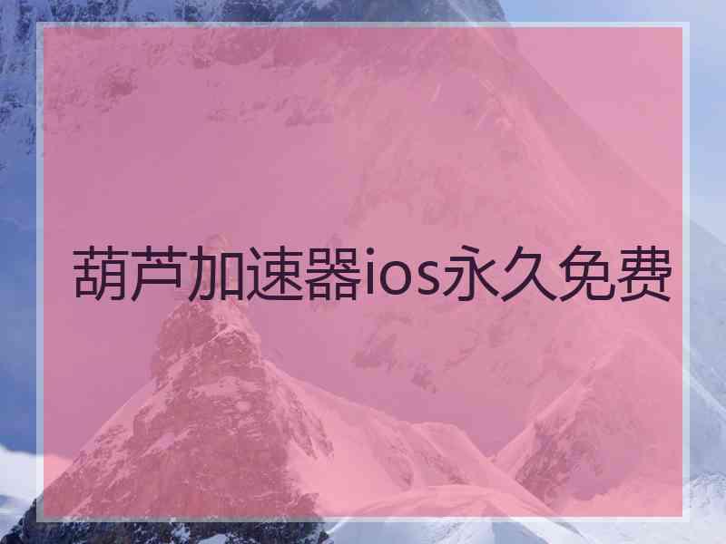 葫芦加速器ios永久免费