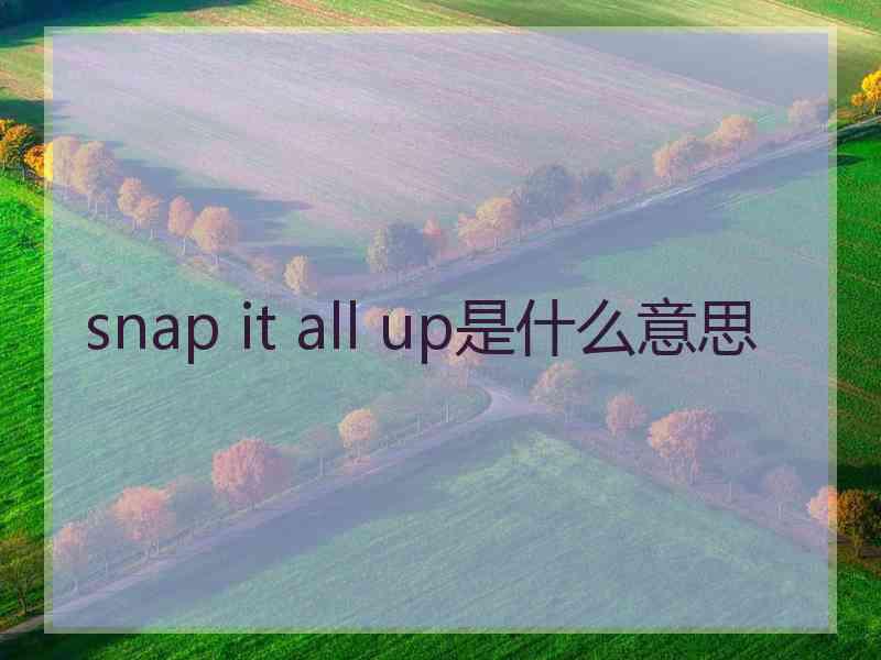 snap it all up是什么意思