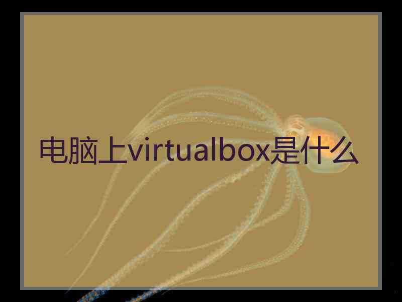 电脑上virtualbox是什么