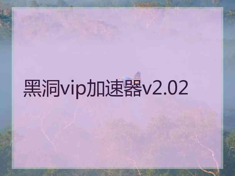 黑洞vip加速器v2.02