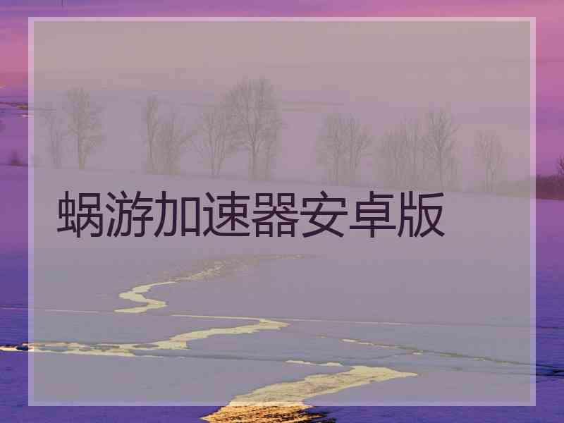 蜗游加速器安卓版