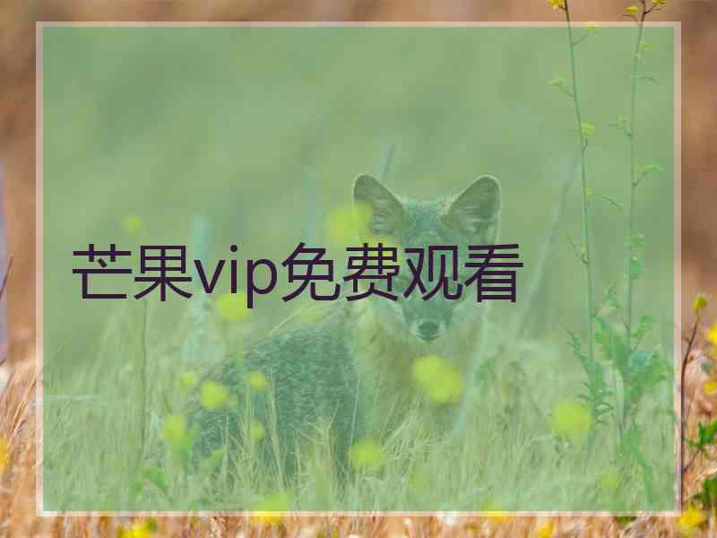 芒果vip免费观看