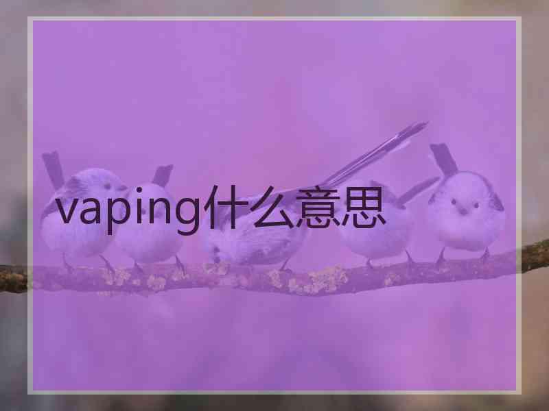 vaping什么意思