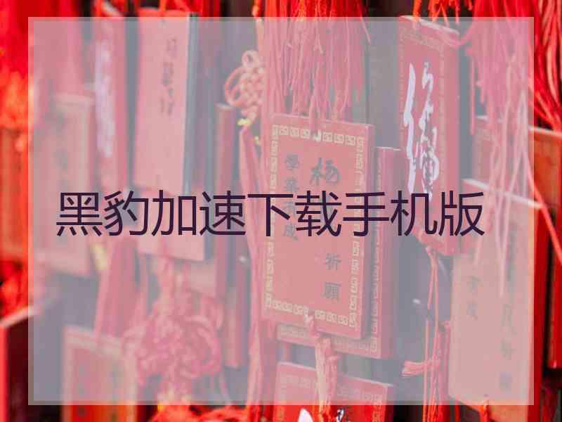 黑豹加速下载手机版