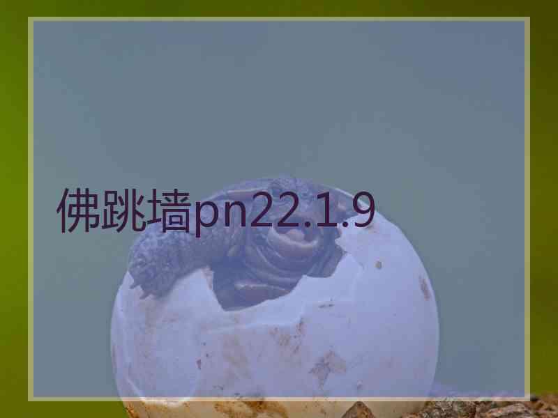 佛跳墙pn22.1.9