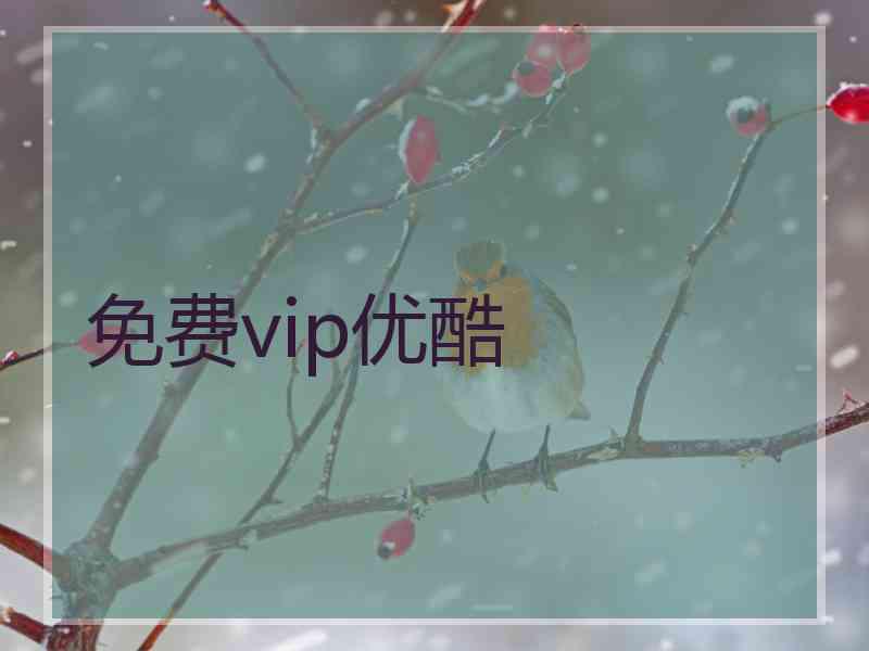 免费vip优酷