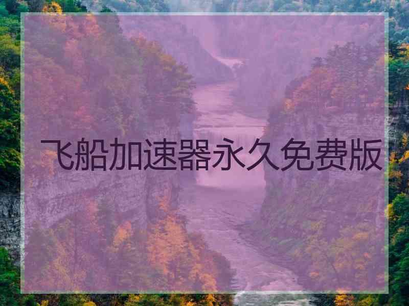 飞船加速器永久免费版