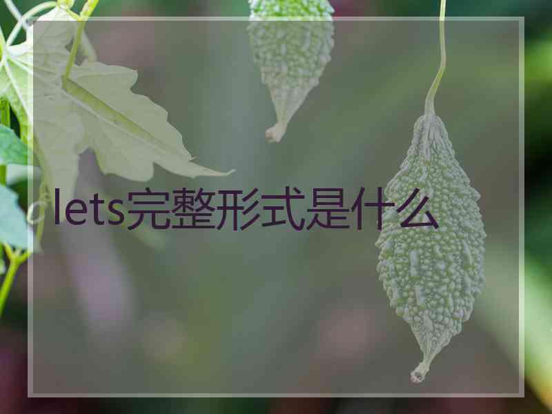 lets完整形式是什么