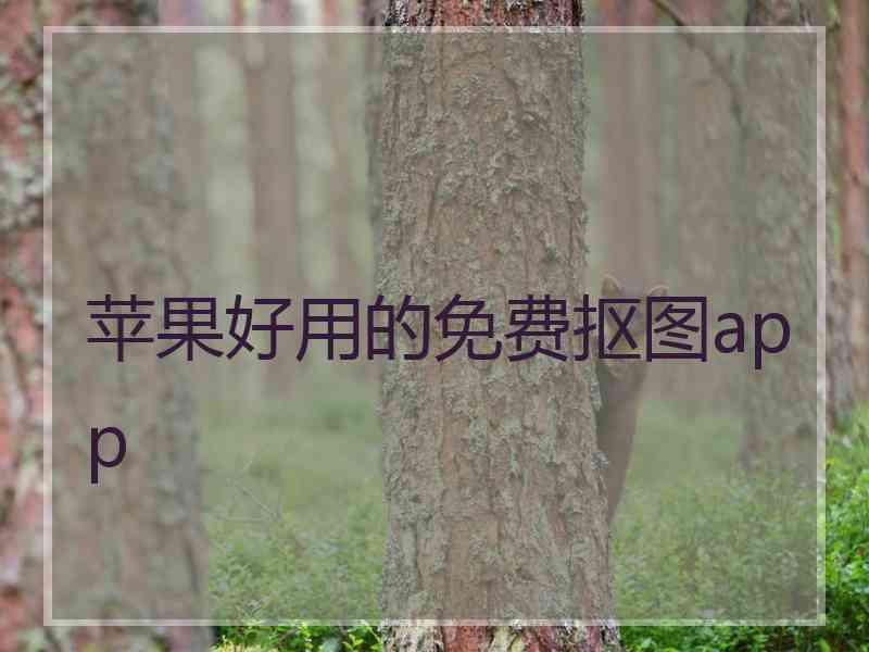 苹果好用的免费抠图app