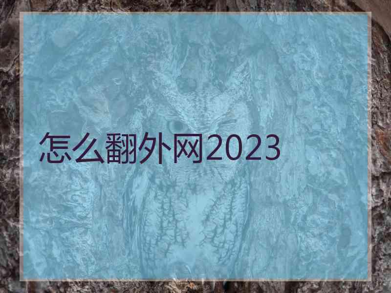 怎么翻外网2023