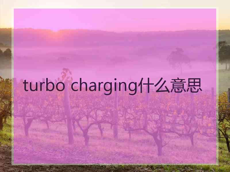 turbo charging什么意思