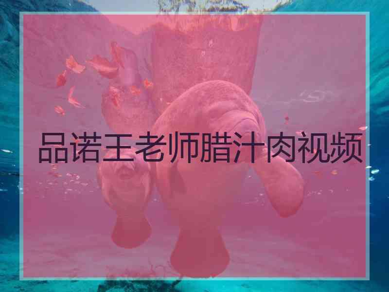 品诺王老师腊汁肉视频