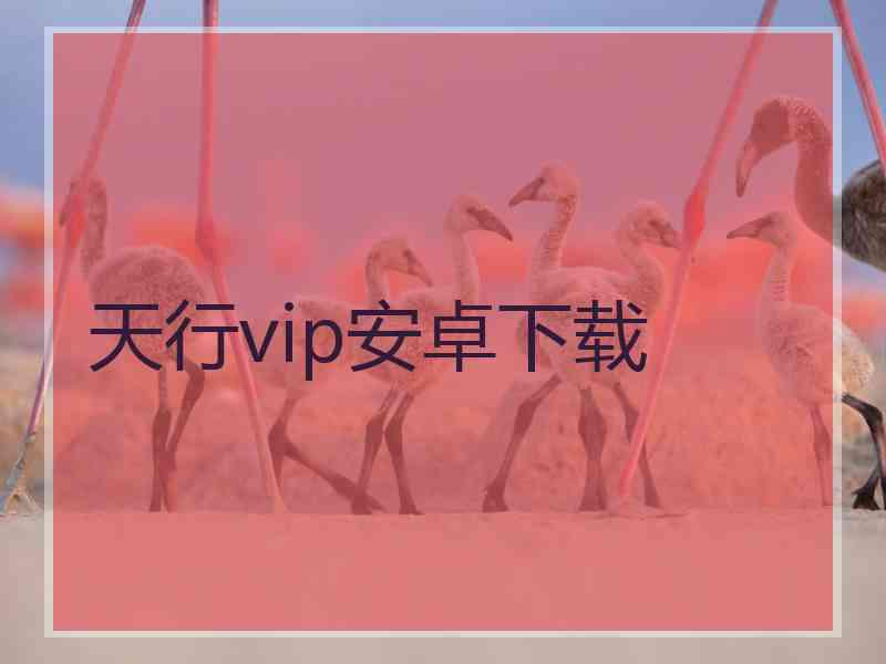 天行vip安卓下载