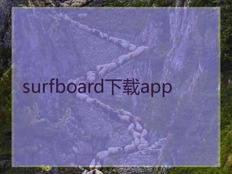 surfboard下载app