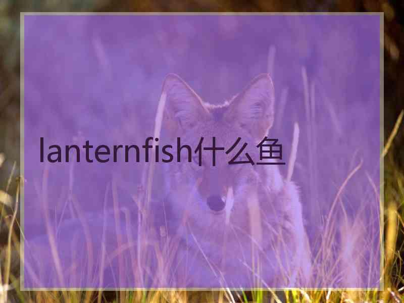 lanternfish什么鱼