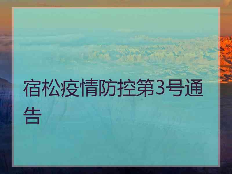 宿松疫情防控第3号通告